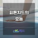 크린베드