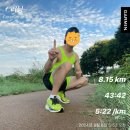 푸마 벨로시티 나이트로 3 후기( 마라톤 10km 및 데일리, 하프까지 가능 )