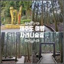 남조로 사려니숲길입구 | 제주도 여행 추천 서귀포 제주 사려니숲길 붉은오름입구 입장료 주차장