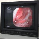 어울동물의료센터 이미지