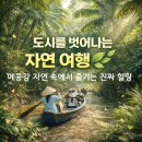 섬띠농장 | 메콩강 일일 단독 투어 한국어 가이드 조각배 유니콘아일랜드 벤쩨 호치민 출발