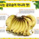 재이무역