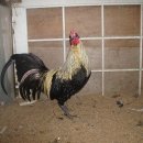 문영식 농장 이미지