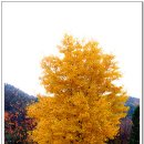 녹전초등학교 이미지