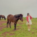 명성목장 | 제주 문도지오름 가는법 주차 제주도 말이 있는 서쪽 오름 명성목장 주소