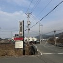 아곡 | 대구 경북 최대 규모 애견까페 컴페니언