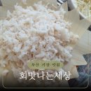 회맛나는세상