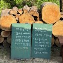 정배리베리 | 양평 에어비앤비 정배리베리 독채 펜션 단체모임 최고