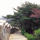 도성집 이미지