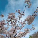 알프스펜션A 이미지