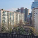서초진흥아파트 네이버블로그