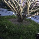 노인정 옆 이미지