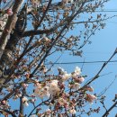 문화의거리 행복상점가 이미지