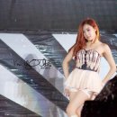 폴콘 이미지