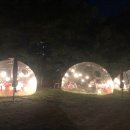 달빛과쉬는시간 이미지