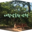 희동이의 하루 이미지