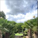 숙희네농원황토민박 이미지