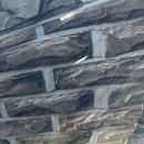 1991모터스 장지점 이미지