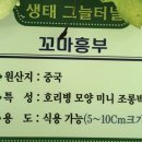 검산체육공원 네이버블로그