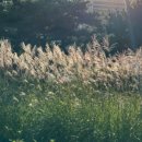 은행전자 | 신혼부부 주택담보대출 후기 (1) 신한은행 주담대 서류 ｜dsr 계산기 ｜부동산 전자계약