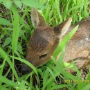 매곡농장 이미지