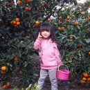 민제농장 이미지