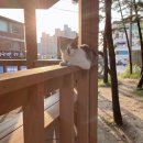 [강릉여행 1박 2일 후기 / 강릉여행 코스 (커피고집s...마트 북강릉농협연곡지점, 사천해변, 네네치킨...