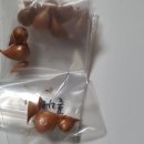 폴라오로라 5명 이미지