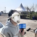제주토이승마장 이미지