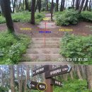 신평1동-9 | 부산 동매산 옥녀봉