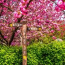 완산공원(정상) 이미지