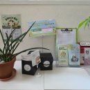 대전동구중독관리통합지원센터 이미지