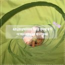 영아침구 | 👉 속초금호설악리조트 키즈룸 영아룸 후기✨ 아기와여행숙소로 딱이었어요