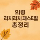 리치 | 2025 의령 리치리치축제 후기