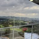 옥마벚길 이미지