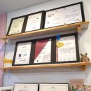 빵굽는 야옹이 이미지