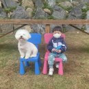 지리산하늘과바람과별과개 이미지