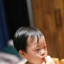 쌍둥이미용실 - 사상구 삼덕로46번안길 17 | 4세 남매 쌍둥이 셀프 미용 후기, 집에서 유아 바리깡으로 머리 자르기