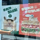 아바타소프트(주) | [T멤버십] 9월 T day 할인 혜택 (김햄찌아바타 샐러디 후기 띠부띠부씰 소진 / 백미당 아이스크림 1+1)