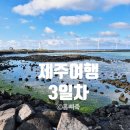 모정의 바다 | 가을 제주여행 : 3일차 - 제주 서쪽 하루여행 코스 완성! 녹차밭·풍차해안·갈치구이까지 풀코스 기록