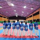 드림태권도 스포츠클럽 이미지