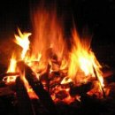 개미통나무 이미지