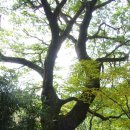 선암주유소 이미지