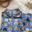 블루퍼피 이미지