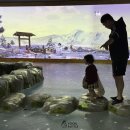 서귀동-28 | 28개월 두돌 아기랑 제주 3박4일 3탄✈️, 여행 마지막 코스 (제주 → 광주 진에어 탑승) '워터월드' 방문...