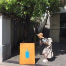 소이리미 이미지
