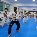 KOREA 태권도 | &#34;7월 성인태권도 수련생들의 특별한 여름&#34; – 세계무대를 향한 첫 걸음에 도전 하세요! (2025 유엔한국...