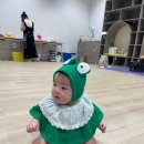 개구리화원 이미지