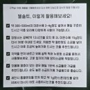 웰커넥트 | [브랜드 커넥트] 웰솔트 용융소금 후기｜공복 소금물 음용과 양치 활용까지