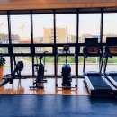 팀엑스복싱 이미지